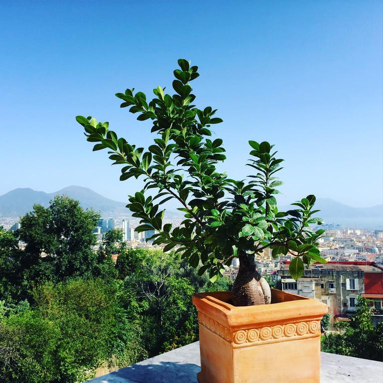 B&B La Veduta Naples Exterior photo